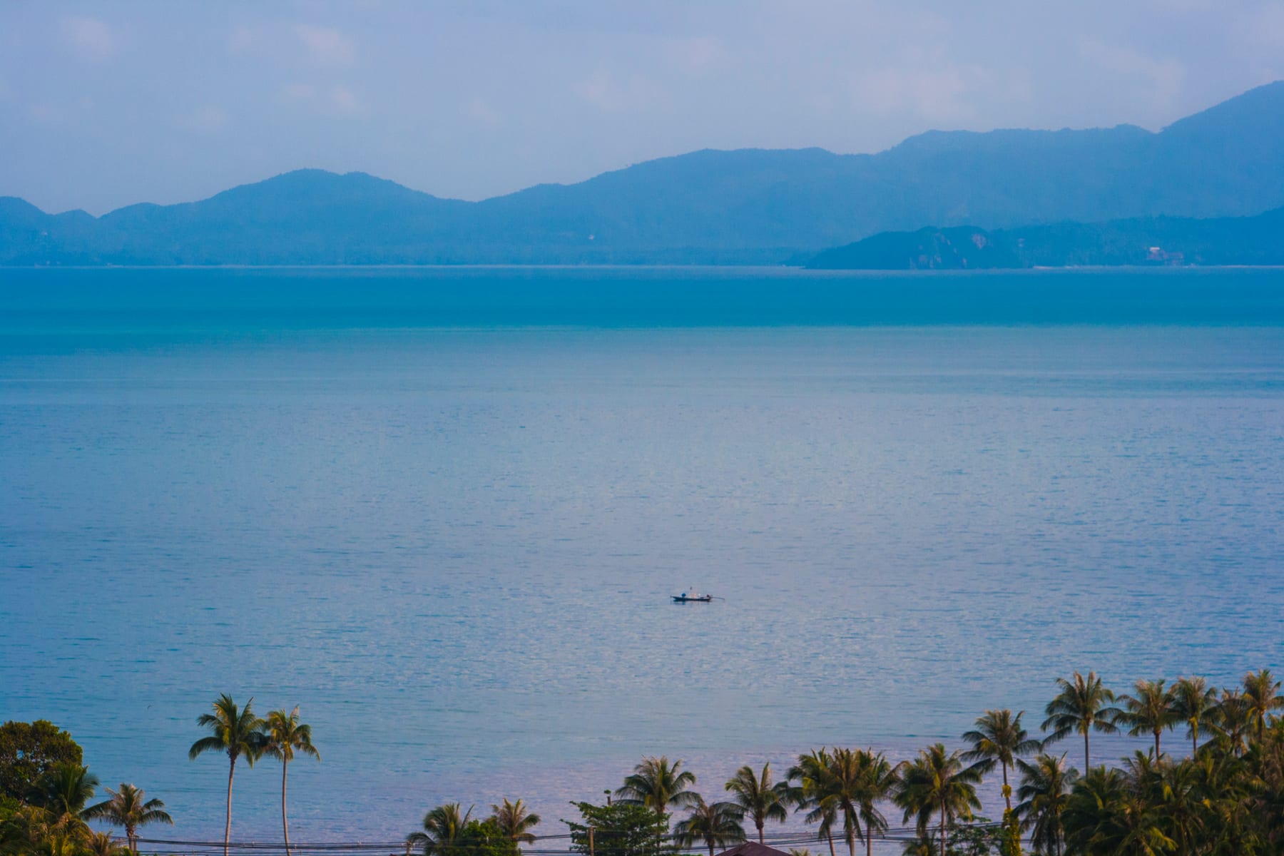The bay and mountains seen from CODE's hillside