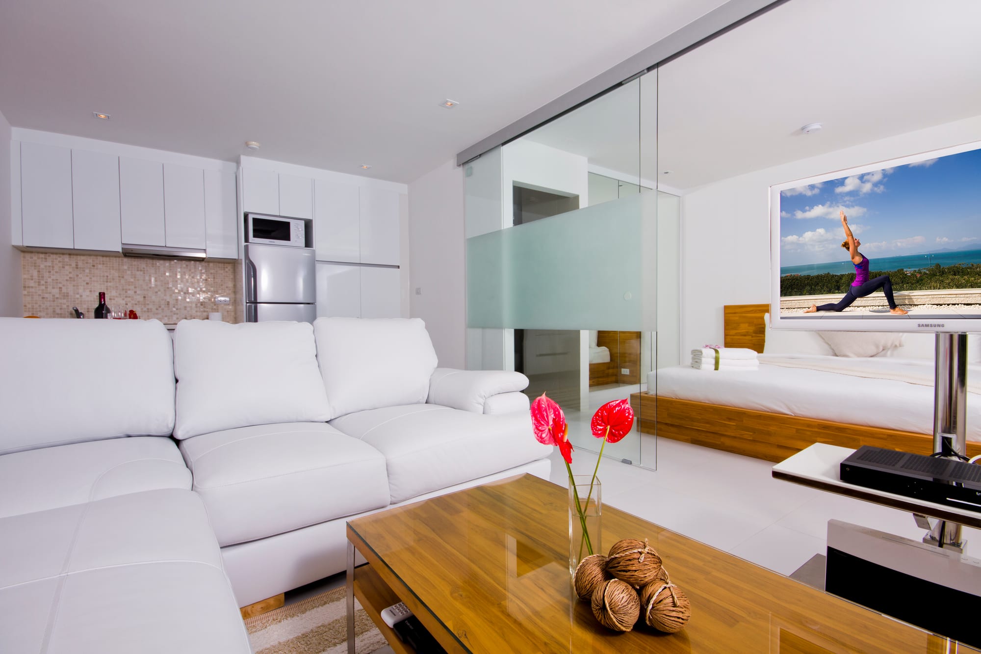 Two bedroom penthouse living room