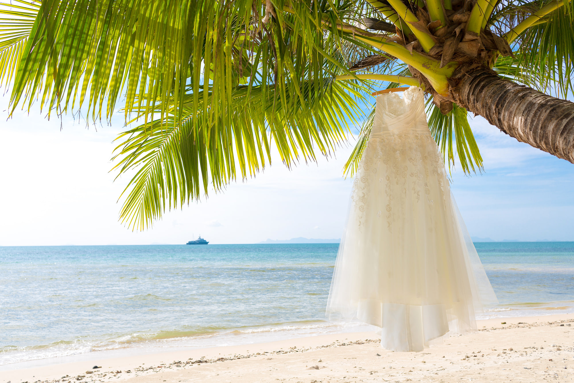The dress against a palm